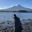 あのプロフィール画像