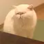skのプロフィール画像