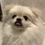 kanaのプロフィール画像