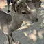 なっちゃんのプロフィール画像