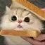 るるのプロフィール画像