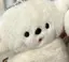 moのプロフィール画像