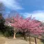 リのプロフィール画像