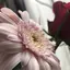 AIのプロフィール画像