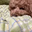 ぐんまのプロフィール画像