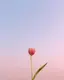 azuのプロフィール画像