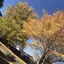 mのプロフィール画像