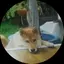 hirokoのプロフィール画像