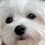 えむのプロフィール画像