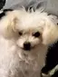 うっちゃのプロフィール画像