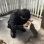 士のプロフィール画像