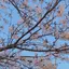 momoのプロフィール画像