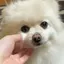 咲良のプロフィール画像