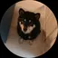 まめのプロフィール画像