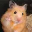 たーちーるーちーのプロフィール画像