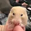 あずさのプロフィール画像