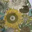 みつのプロフィール画像
