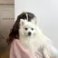 稀菜のプロフィール画像