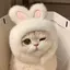 あいのプロフィール画像