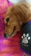 アリエッティのプロフィール画像