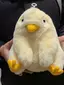 うなぎのプロフィール画像