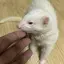 ソルのプロフィール画像