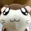 たろたろのプロフィール画像