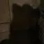 riのプロフィール画像