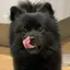 かすみのプロフィール画像
