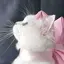 ﾐﾐのプロフィール画像