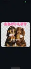 ayayaのプロフィール画像