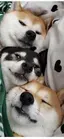 ゆんのプロフィール画像
