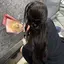 のんのプロフィール画像