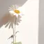 mのプロフィール画像