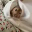 Saのプロフィール画像