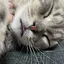 ういのプロフィール画像