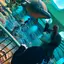 モモカ🦋のプロフィール画像
