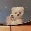 kのプロフィール画像