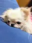 yukikoのプロフィール画像