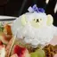 まるのプロフィール画像