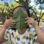 IORIのプロフィール画像