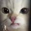 ワのプロフィール画像