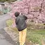 ゆり江のプロフィール画像