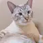みうのプロフィール画像