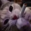 晴のプロフィール画像