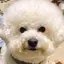 湯のプロフィール画像