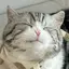 mizuのプロフィール画像
