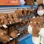 まめきちのプロフィール画像
