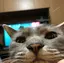 いしだのプロフィール画像