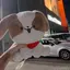 たきのプロフィール画像